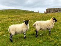 Isle of Lewis and Harris
